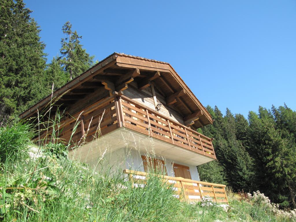 Chalet Amos Villa Grimentz Exterior photo